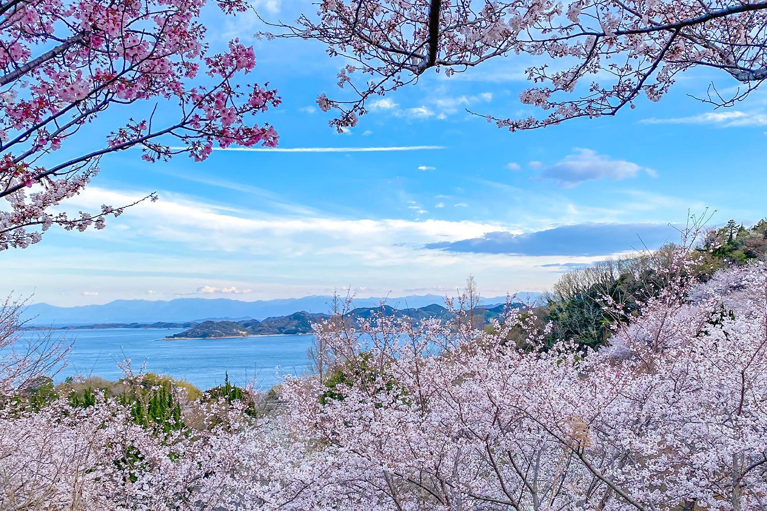 Lemon Farm Glamping Simanami Villa Onomichi Dış mekan fotoğraf