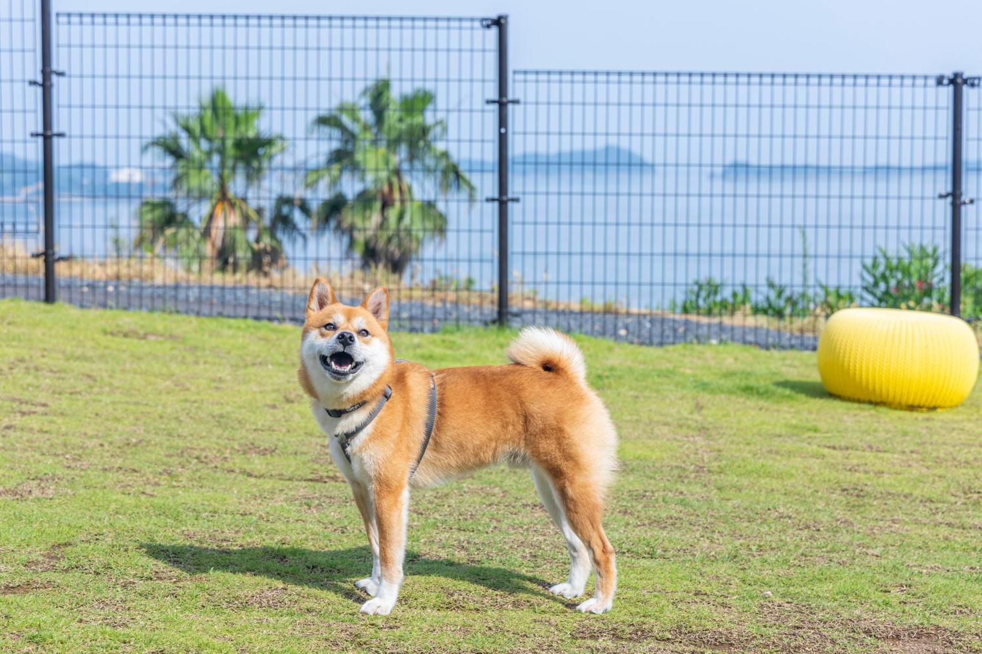 Lemon Farm Glamping Simanami Villa Onomichi Dış mekan fotoğraf